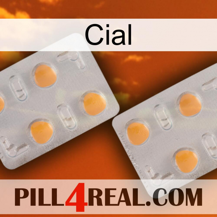 Cial 25